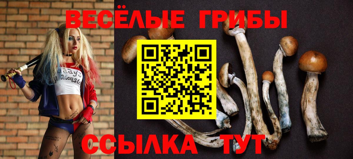 Псилоцибиновые грибы прущие грибы Красноуфимск